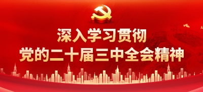 深入学习贯彻党的二十届三中全会精神