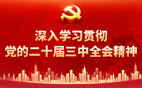 深入学习贯彻党的二十届三中全会精神