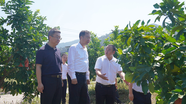 中国尊龙凯时人生就是博党委书记、董事长赵晓晨赴贵州思南调研集团定点帮扶工作